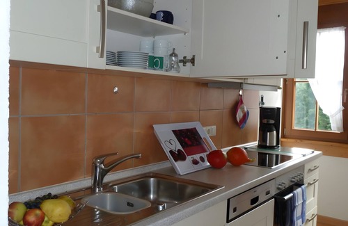 Bad Peterstal-Griesbach Apartment | Apartment '6' with Mountain View, Shared Terrace and Wi-Fi