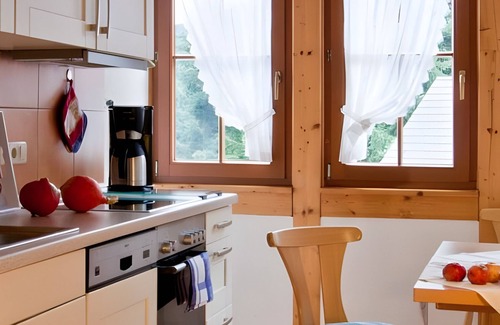 Bad Peterstal-Griesbach Apartment | Apartment '6' with Mountain View, Shared Terrace and Wi-Fi