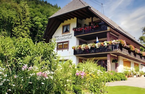 Bad Peterstal-Griesbach Apartment | Apartment '1 Zimmer' with Mountain View, Shared Terrace and Wi-Fi