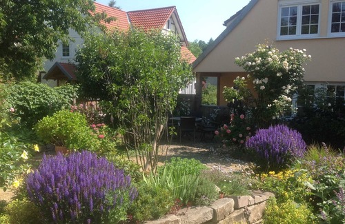 Walkenried Apartment | Apartment 2 - Holiday apartments Haus Presse