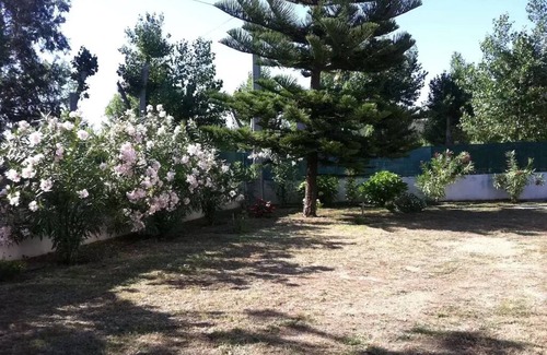 Corbara Apartment | APARTMENT 300M FROM THE BEACH (ON FOOT)