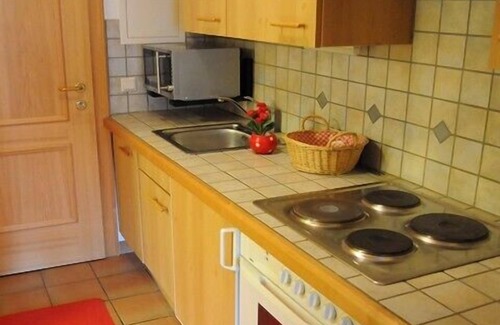 Russbach am Pass Gschuett Apartment | Apartment, 300m to the ski slope, everything on site, gr. Leisure offer winter + summer