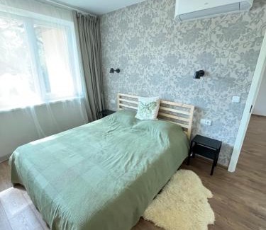 Paluse Apartment | Apartment 4 Palūšė