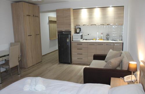 Bakuriani Apartment | Apartment 408 in Orbi Palace