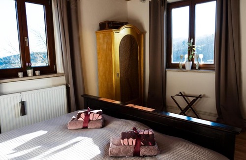 Hoflein an der Hohen Wand Apartment | Apartment 43