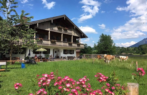 Weissbach Apartment | Apartment 5 with balcony and garden view, 40 sqm, 1 bedroom
