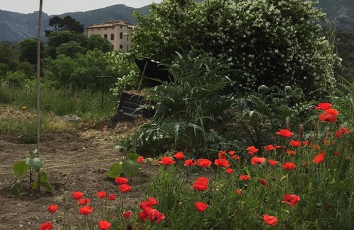 Vauvenargues Apartment | Apartment 90m2 - 12 km from Aix-En-Provence