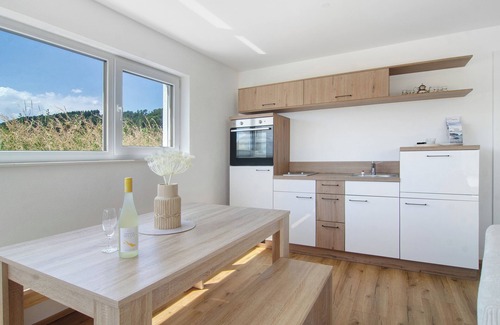 Ludwigshafen Apartment | Apartment 'Aura Untergeschoss' with Private Terrace, Private Garden and Wi-Fi