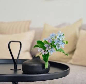 Zirchow Apartment | Apartment A3 "Pine Hill Resort" - mit überdachter Terrasse & zwei Bädern