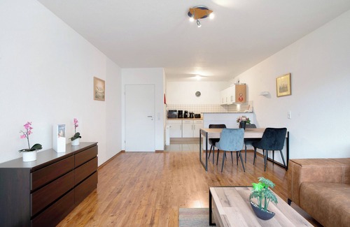 Bad Saeckingen Apartment | Apartment "Agricola" with Shared Garden & Wi-Fi