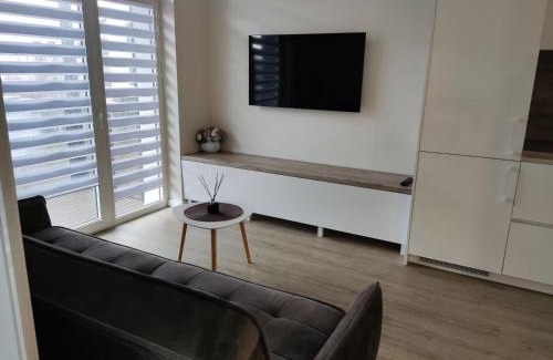 Panevezys Apartment | Apartment Ainiai