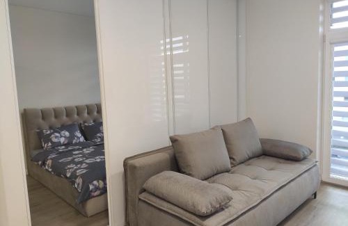 Panevezys Apartment | Apartment Ainiai
