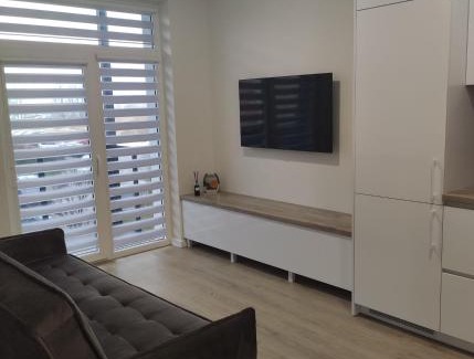 Panevezys Apartment | Apartment Ainiai