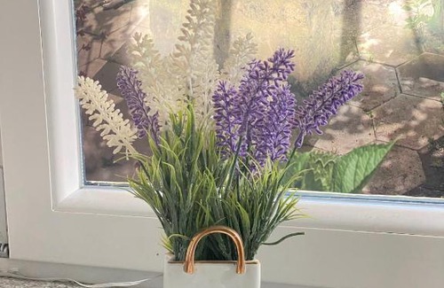 Viconago Apartment | Apartment Alina