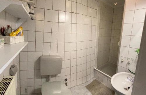 Stephanshausen Apartment | Apartment am Rheinsteig ,privater Vermieter