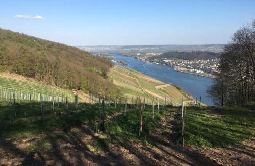 Stephanshausen Apartment | Apartment am Rheinsteig ,privater Vermieter