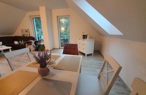 Debnica Kaszubska Apartment | Apartment am See für bis zu 7 Personen