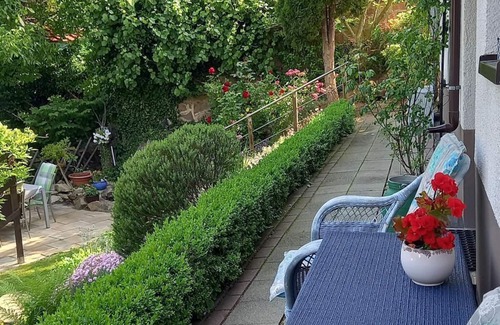 Thale Apartment | Apartment Am Steinbachtal