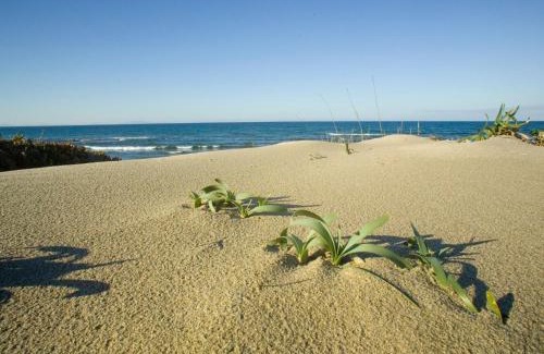 Eden Beach Apartment | Apartment Ammentos by Interhome