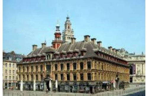 Lille-Moulins Apartment | Apartment and garden in lille fac de droit