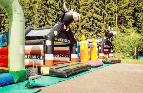 Moleson Apartment | Apartment Andromède 6 by Interhome