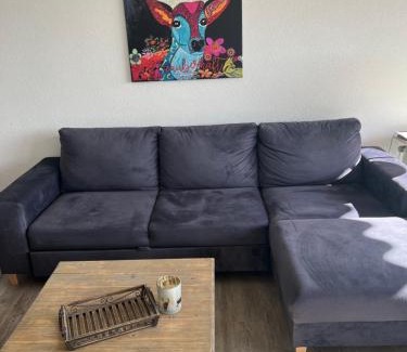 Schonach im Schwarzwald Apartment | Apartment Annis Panoramablick Pool Sauna Tennis