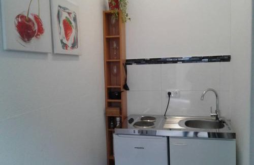 Steyr Apartment | Apartment AP 1 im Zentrum Steyr, BESTROOMS eU