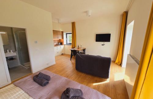 Svinna Apartment | Apartment Arber Šumava