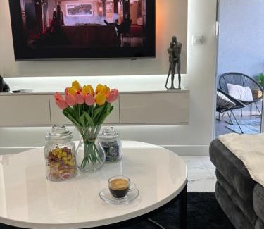 Modrica Apartment | Apartment Aristos