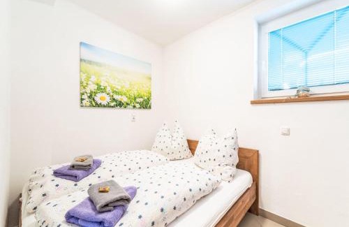 Hollersbach im Pinzgau Apartment | Apartment Evi by Interhome