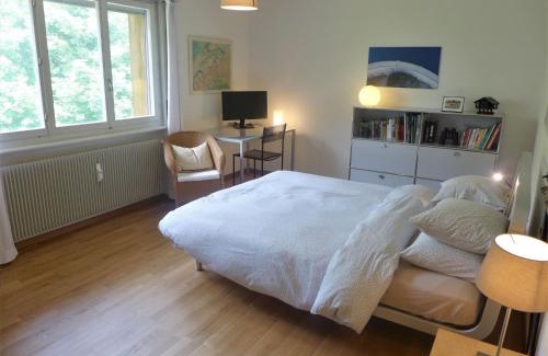 Randogne Apartment | Apartment Belmont Est 80 by Interhome