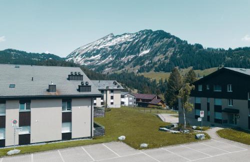 Mitloedi Apartment | Apartment Bischofberger D22