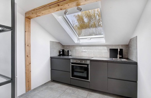 Blaustein Apartment | Apartment "Blaustein Loft" with Shared Garden & Wi-Fi