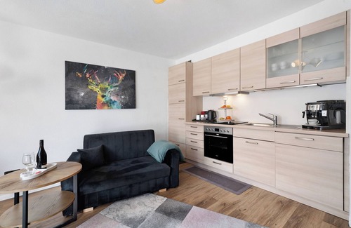 Lenzkirch Apartment | Apartment 'Boutique' with Mountain View, Private Terrace and Wi-Fi