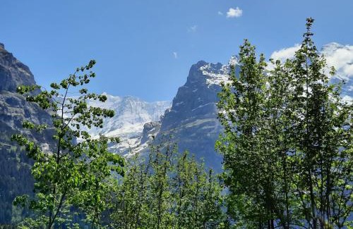 Grindelwald Apartment | Apartment Chalet zur Höhe by Interhome
