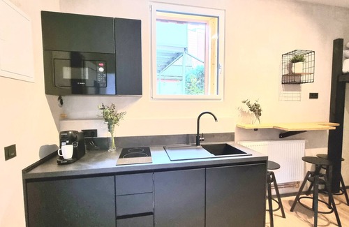 Innenstadt Apartment | Apartment 'City Als Raumwunder' with Wi-Fi