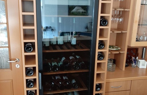 Brauneberg Apartment | Apartment-Classic-Private Bathroom-River view-Moselblick 3