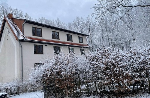 Reinhardtsdorf-Schoena Apartment | Apartment 'Am Hochwald' with Mountain View, Private Terrace and Wi-Fi