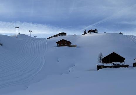 Damuels Apartment | Apartment direkt an der Piste