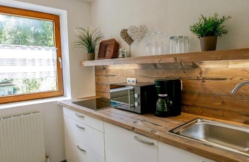 Feichten Apartment | Apartment Einzimmer by Interhome