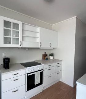 Henningsvaer Apartment | Apartment Elisabeth at Fiskekrogen
