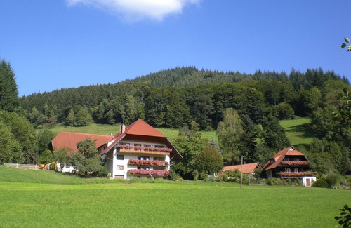 Muehlenbach Apartment | Apartment 'Ferienwohnung Schwalbennest' with Mountain View, Balcony and Wi-Fi