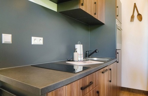 Voehrenbach Apartment | Apartment 'Ferienwohnung 2' with Shared Garden and Wi-Fi