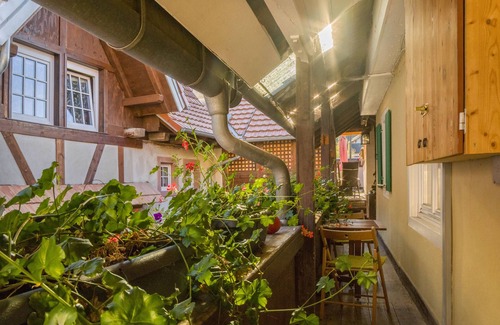 Bickensohl Apartment | Apartment 'Ferienwohnung Winzerhaus' with Shared Garden and Wi-Fi