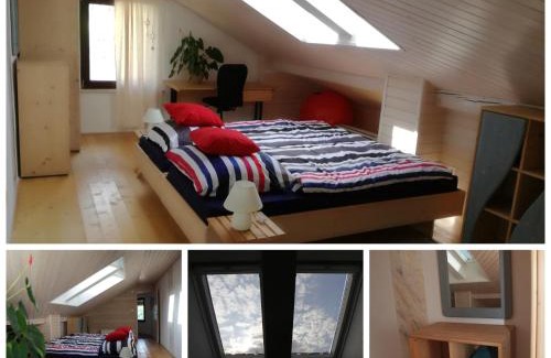 Jesenice Apartment | Apartment Fon