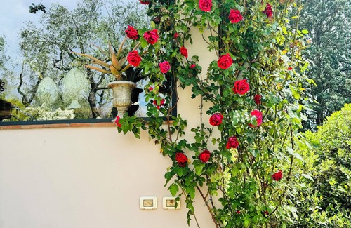 Lastra a Signa House | Apartment for 4 in Tuscany countryside - Florence