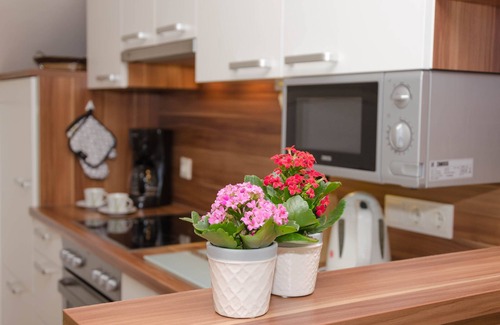 Mauterndorf Apartment | Apartment for up to 6 people with 5 ski areas nearby