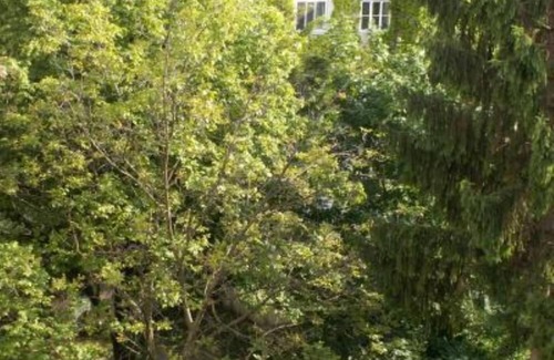 Grinzing Apartment | APARTMENT FOR YOUR STAY VIENNA, 3 rooms, comfortable and cozy