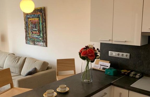 Hradec Kralove Apartment | Apartment Grossman
