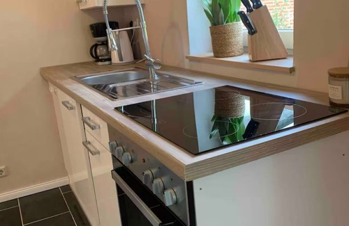 Ihlow Apartment | Apartment 'Grüner Friese' with Private Terrace, Shared Garden and Wi-Fi